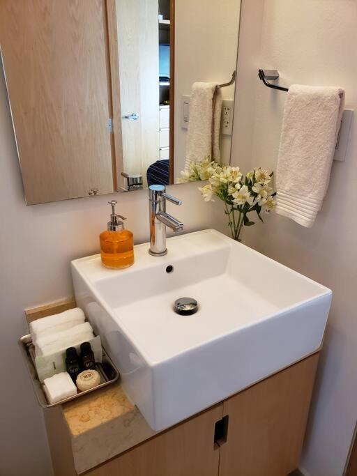Luxury Apartment In Carso, Polanco Mexikóváros Kültér fotó